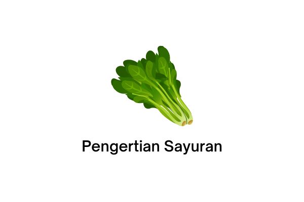 sayuran